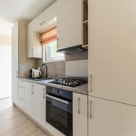 Luxury Near Ouddorp With Garden, Cleaning Included Holiday home