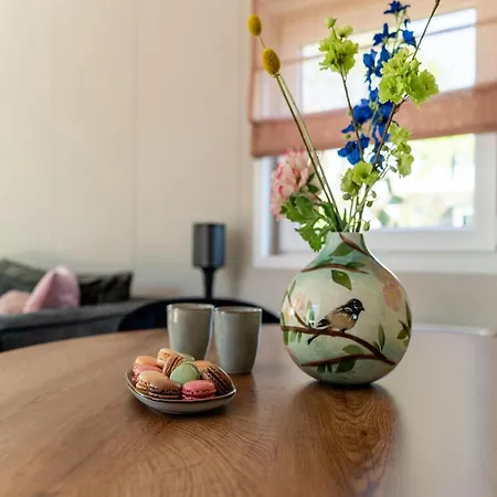 Luxury Near Ouddorp With Garden, Cleaning Included